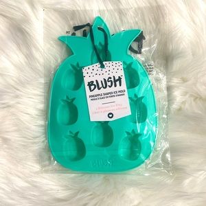 🍍✨NWT BLUSH Pineapple Shaped Ice Mold✨🍍